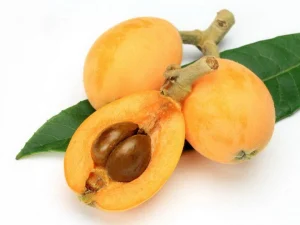 שסק גדול- מארז